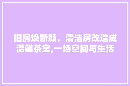 旧房焕新颜,清洁房改造成温馨茶室,一场空间与生活的完美邂逅 地面装修 旧房焕新颜,清洁房改造成温馨茶室,一场空间与生活的完美邂逅 地面装修