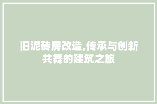 旧泥砖房改造,传承与创新共舞的建筑之旅 装修攻略
