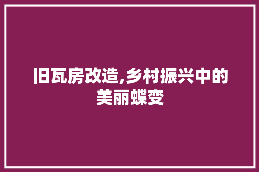 旧瓦房改造,乡村振兴中的美丽蝶变