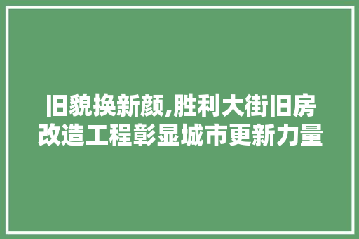 旧貌换新颜,胜利大街旧房改造工程彰显城市更新力量