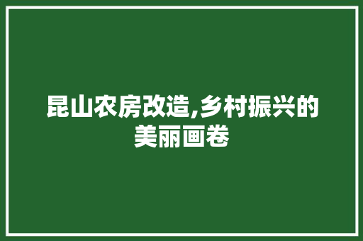 昆山农房改造,乡村振兴的美丽画卷 地面装修