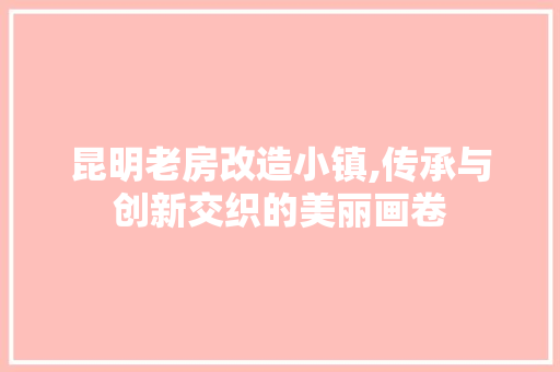 昆明老房改造小镇,传承与创新交织的美丽画卷 隔断设计