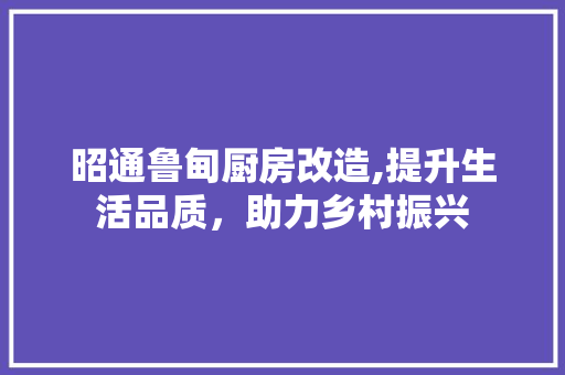 昭通鲁甸厨房改造,提升生活品质，助力乡村振兴 装修攻略