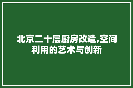 北京二十层厨房改造,空间利用的艺术与创新