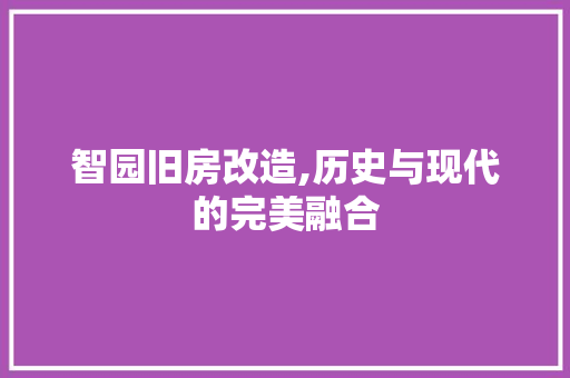 智园旧房改造,历史与现代的完美融合 庭院装修