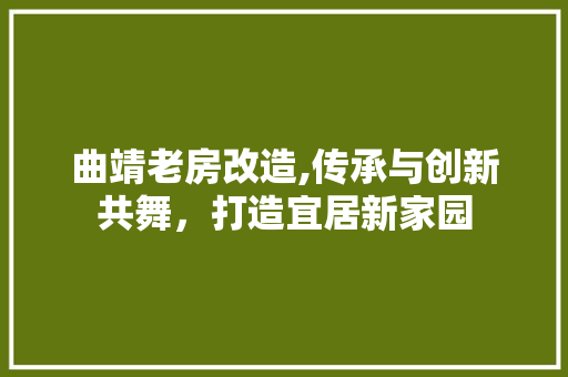 曲靖老房改造,传承与创新共舞，打造宜居新家园