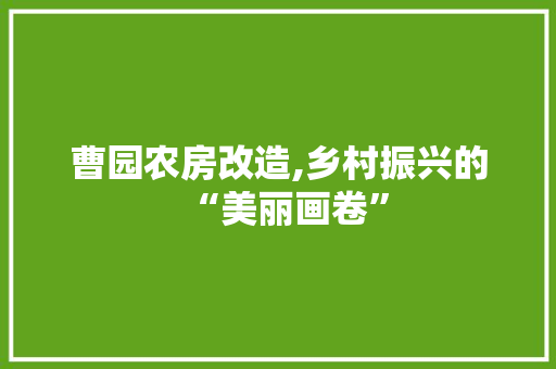 曹园农房改造,乡村振兴的“美丽画卷”