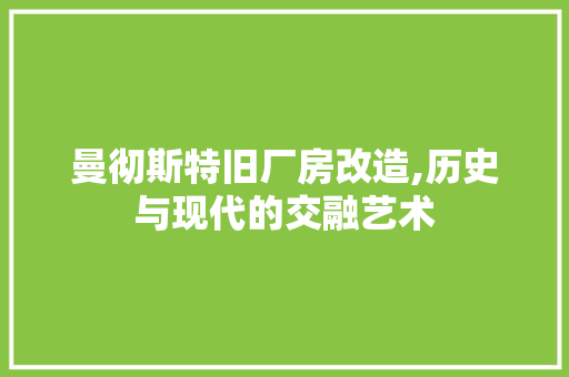 曼彻斯特旧厂房改造,历史与现代的交融艺术 庭院装修