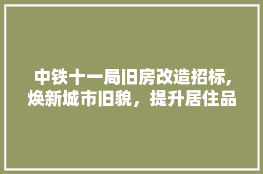 中铁十一局旧房改造招标,焕新城市旧貌，提升居住品质