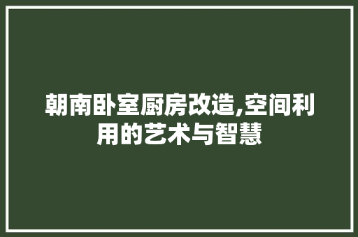 朝南卧室厨房改造,空间利用的艺术与智慧 建筑设计