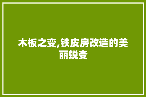 木板之变,铁皮房改造的美丽蜕变 景观设计