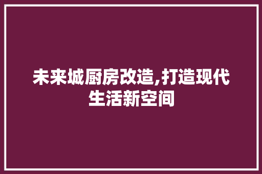 未来城厨房改造,打造现代生活新空间 建筑设计