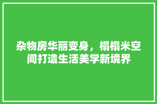 杂物房华丽变身，榻榻米空间打造生活美学新境界