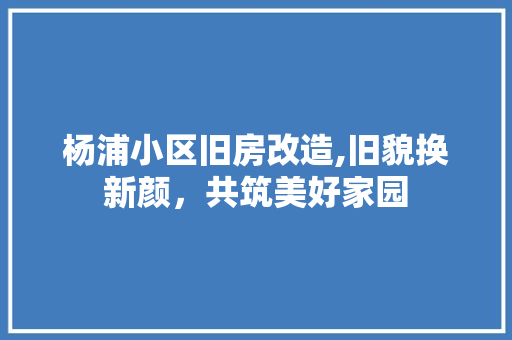 杨浦小区旧房改造,旧貌换新颜，共筑美好家园 地面装修
