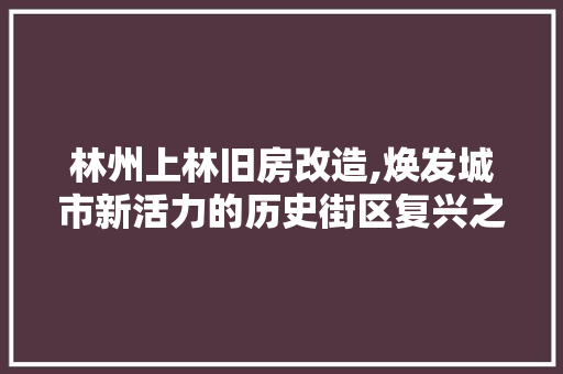 林州上林旧房改造,焕发城市新活力的历史街区复兴之路