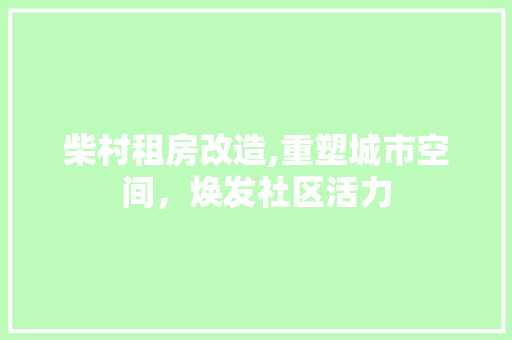 柴村租房改造,重塑城市空间，焕发社区活力 装修材料
