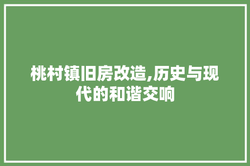 桃村镇旧房改造,历史与现代的和谐交响 建筑设计