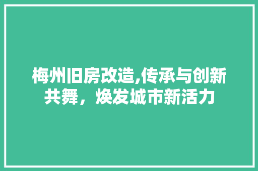 梅州旧房改造,传承与创新共舞，焕发城市新活力
