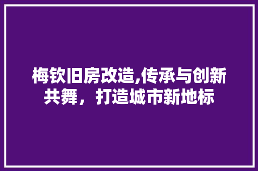 梅钦旧房改造,传承与创新共舞，打造城市新地标 装修攻略