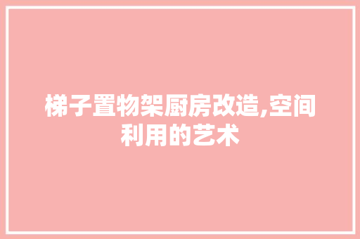 梯子置物架厨房改造,空间利用的艺术