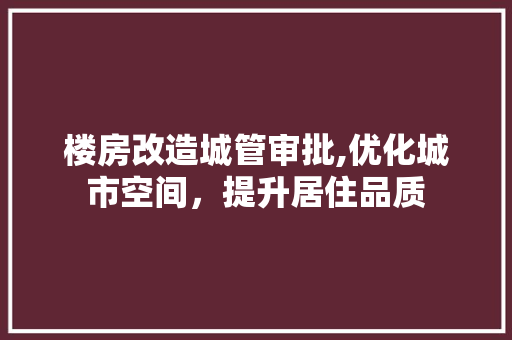 楼房改造城管审批,优化城市空间，提升居住品质