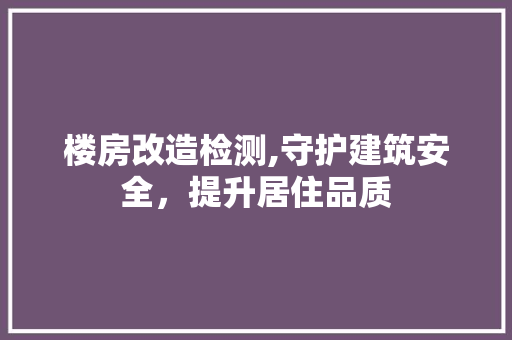 楼房改造检测,守护建筑安全，提升居住品质 装修材料