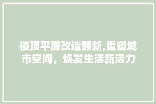 楼顶平房改造翻新,重塑城市空间，焕发生活新活力 地面装修