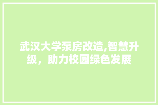 武汉大学泵房改造,智慧升级，助力校园绿色发展