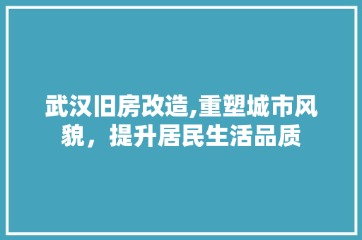 武汉旧房改造,重塑城市风貌，提升居民生活品质