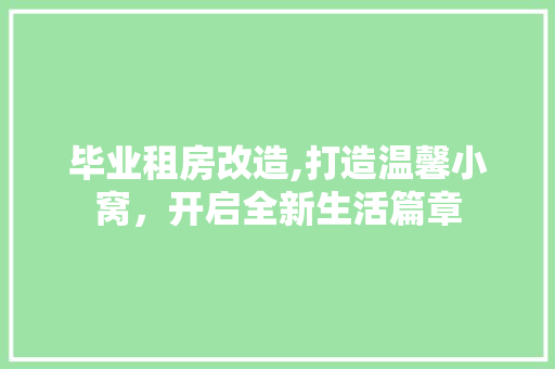 毕业租房改造,打造温馨小窝，开启全新生活篇章