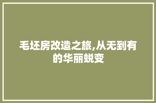毛坯房改造之旅,从无到有的华丽蜕变