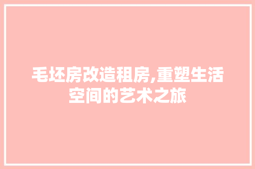 毛坯房改造租房,重塑生活空间的艺术之旅 隔断设计 毛坯房改造租房,重塑生活空间的艺术之旅 隔断设计