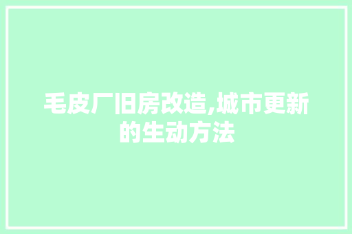 毛皮厂旧房改造,城市更新的生动方法