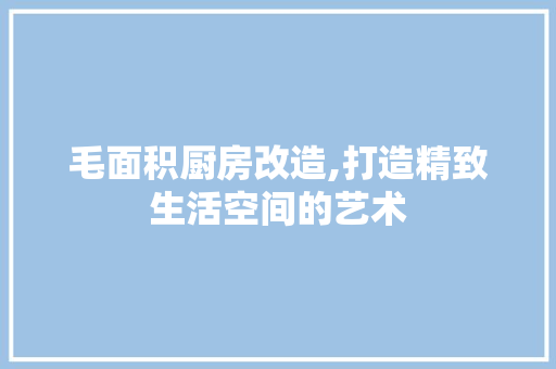 毛面积厨房改造,打造精致生活空间的艺术 装修攻略 毛面积厨房改造,打造精致生活空间的艺术 装修攻略