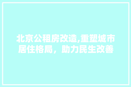 北京公租房改造,重塑城市居住格局，助力民生改善