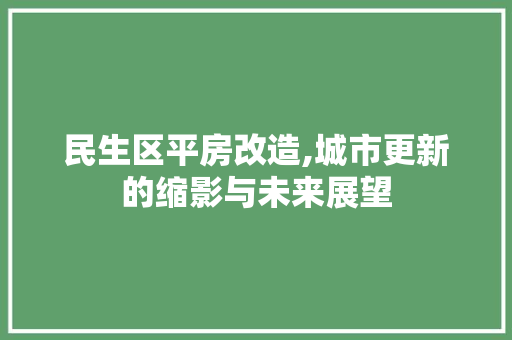 民生区平房改造,城市更新的缩影与未来展望 建筑设计