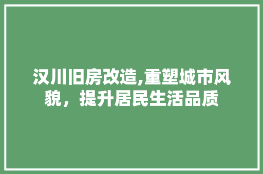 汉川旧房改造,重塑城市风貌，提升居民生活品质