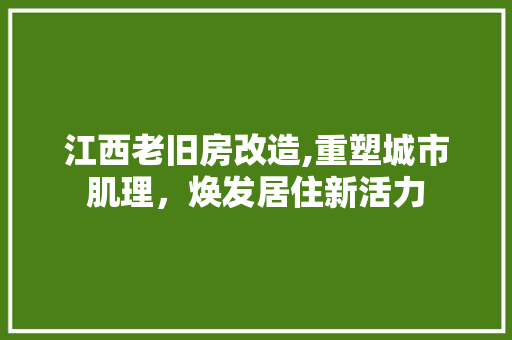 江西老旧房改造,重塑城市肌理，焕发居住新活力 庭院装修