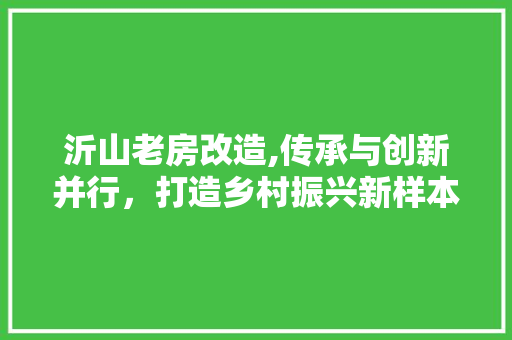 沂山老房改造,传承与创新并行，打造乡村振兴新样本