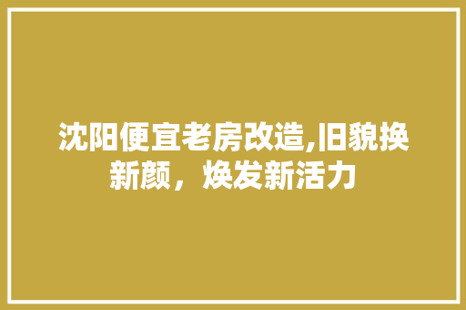 沈阳便宜老房改造,旧貌换新颜，焕发新活力 装修材料
