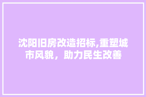 沈阳旧房改造招标,重塑城市风貌,助力民生改善 装修攻略 沈阳旧房改造招标,重塑城市风貌,助力民生改善 装修攻略