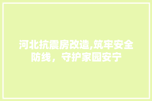 河北抗震房改造,筑牢安全防线，守护家园安宁