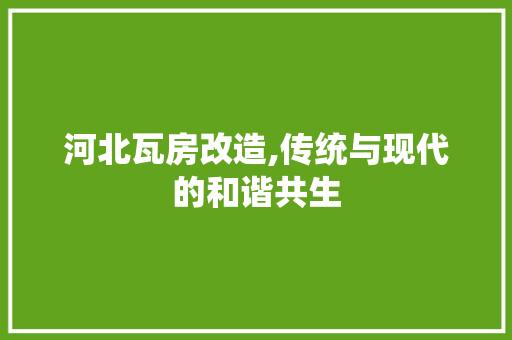 河北瓦房改造,传统与现代的和谐共生