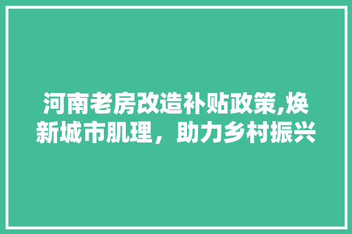 河南老房改造补贴政策,焕新城市肌理，助力乡村振兴 装修攻略