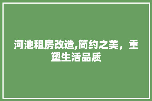 河池租房改造,简约之美，重塑生活品质