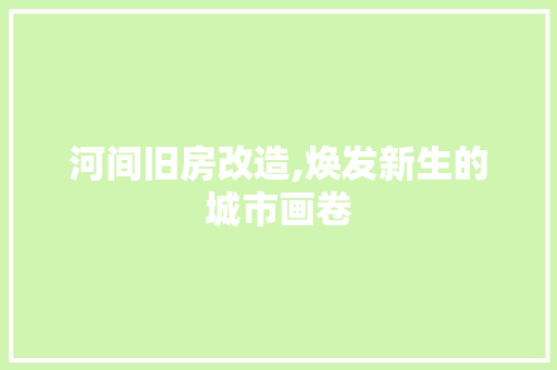 河间旧房改造,焕发新生的城市画卷 门窗装修
