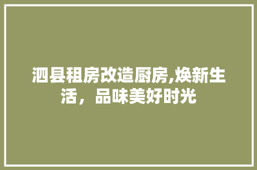 泗县租房改造厨房,焕新生活，品味美好时光 隔断设计