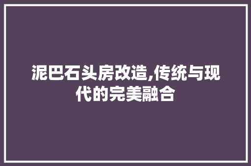 泥巴石头房改造,传统与现代的完美融合