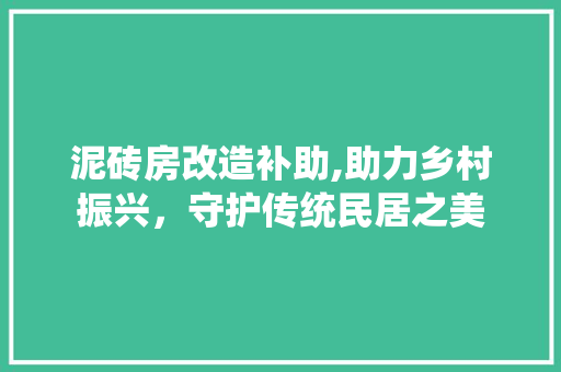 泥砖房改造补助,助力乡村振兴，守护传统民居之美