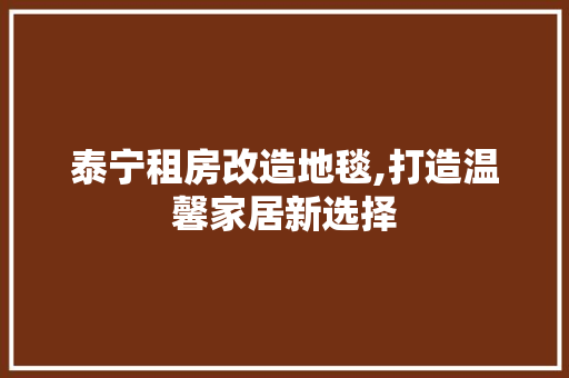 泰宁租房改造地毯,打造温馨家居新选择
